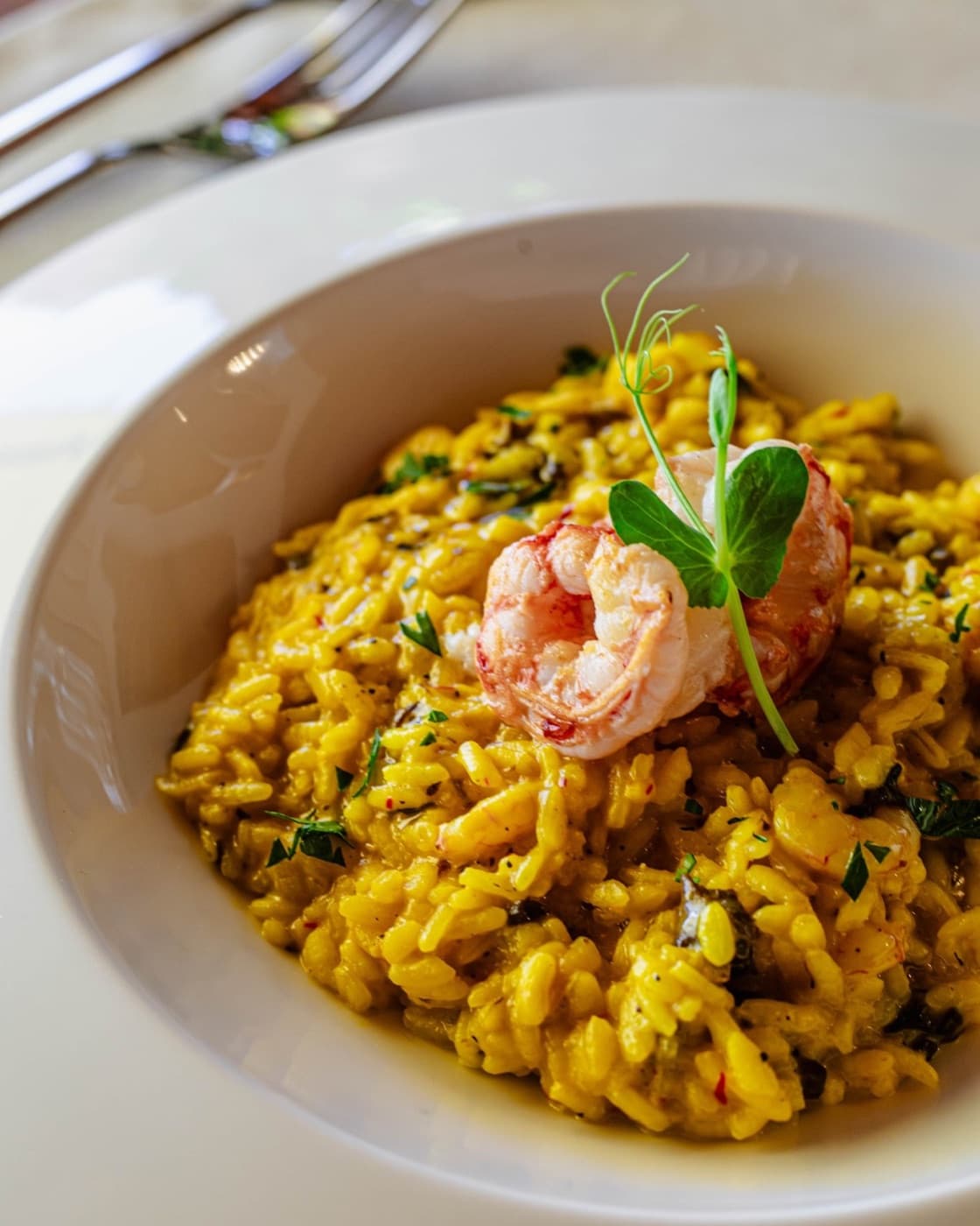 Saffron Risotto