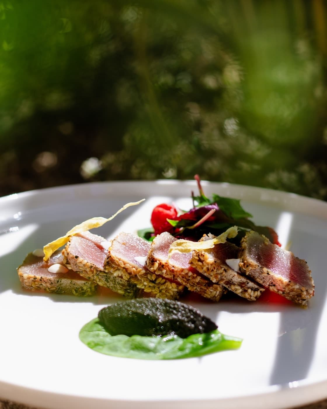 Tuna Steak